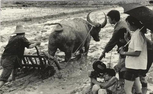 青春祭 沒有什么能夠阻擋，你對美麗的向往